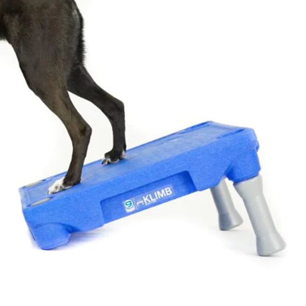 BLUE-9 Jalusta KLIMB-koirankoulutusjärjestelmään sininen
