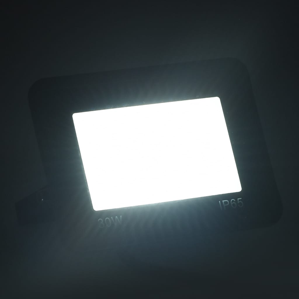 vidaXL LED-valonheitin 30 W kylmä valkoinen