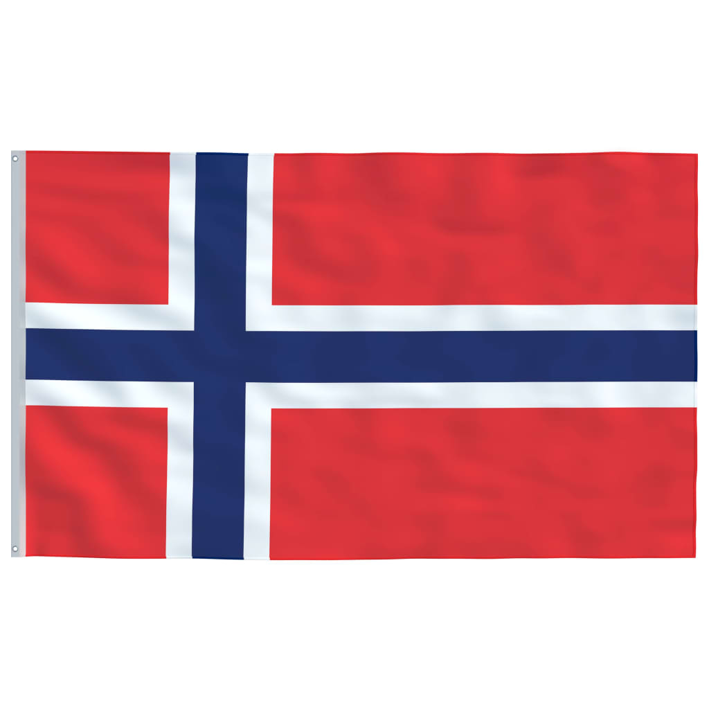 vidaXL Norjan lippu ja tanko alumiini 6,2 m