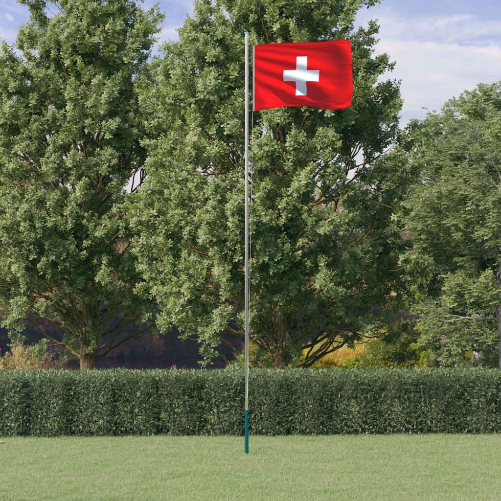 vidaXL Sveitsin lippu ja lipputanko 6,23 m alumiini