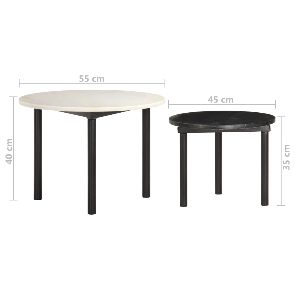 vidaXL Sohvapöydät 2 kpl valkoinen ja musta