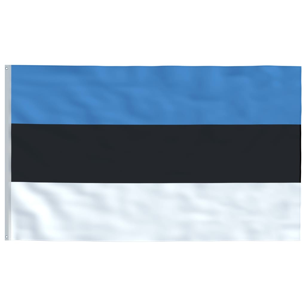 vidaXL Viron lippu ja tanko alumiini 6,2 m