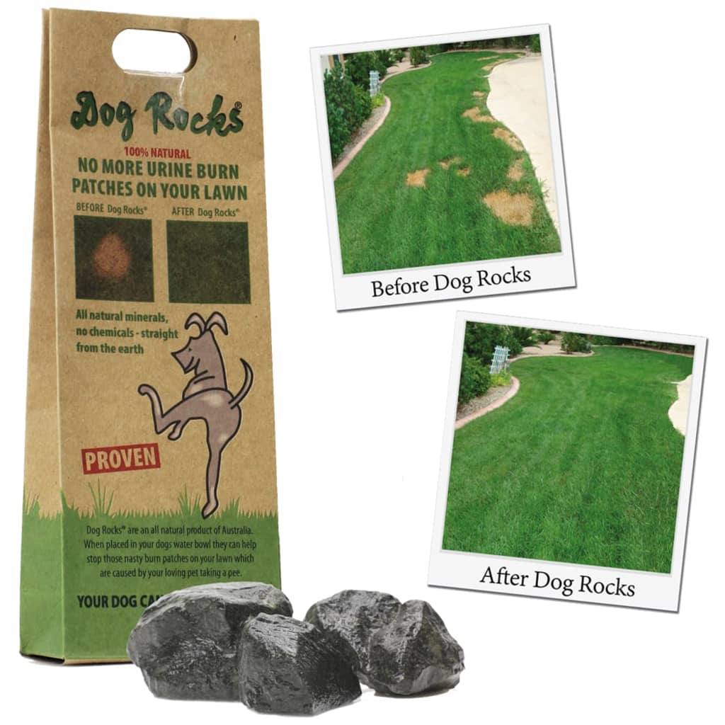 Dog Rocks Virtsatahroja ehkäisevät kivet koirille