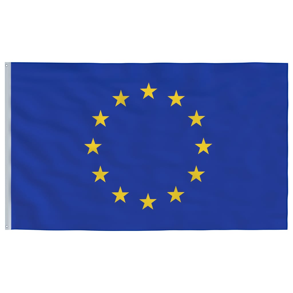 vidaXL Euroopan unionin lippu ja lipputanko 6,23 m alumiini
